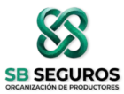 sb logo removebg preview